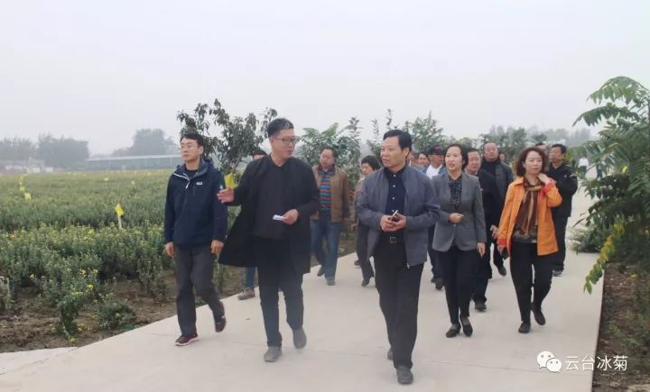云臺冰菊基地發(fā)生了什么？一批批領(lǐng)導(dǎo)專家團(tuán)隊前來！